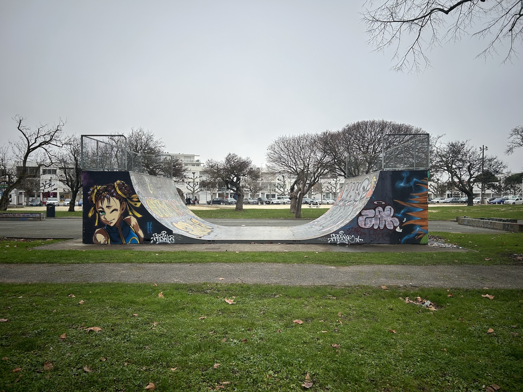 La Tache Verte skatepark